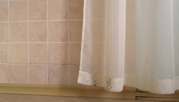 Best Indoor Air Quality Assessment  in Apollo Beach, FL