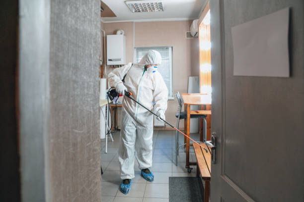 Best Air Quality Testing for Mold Spores  in Apollo Beach, FL