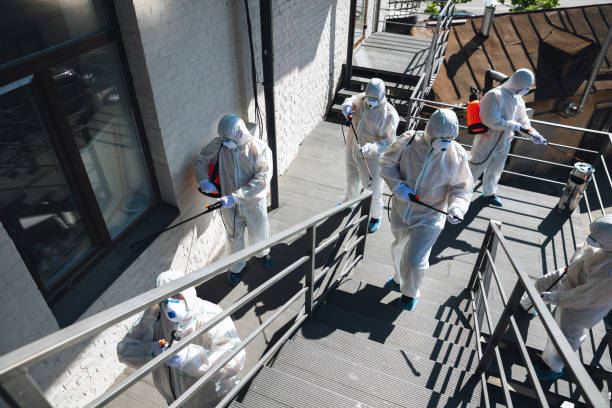 Mold Odor Removal Services in Apollo Beach, FL