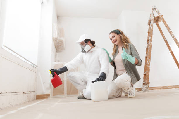 Best Dehumidification Services  in Apollo Beach, FL