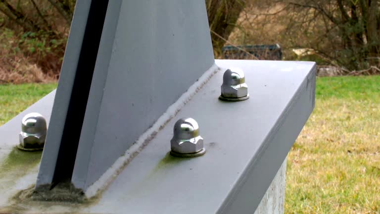 Best Forensic Mold Investigation  in Apollo Beach, FL